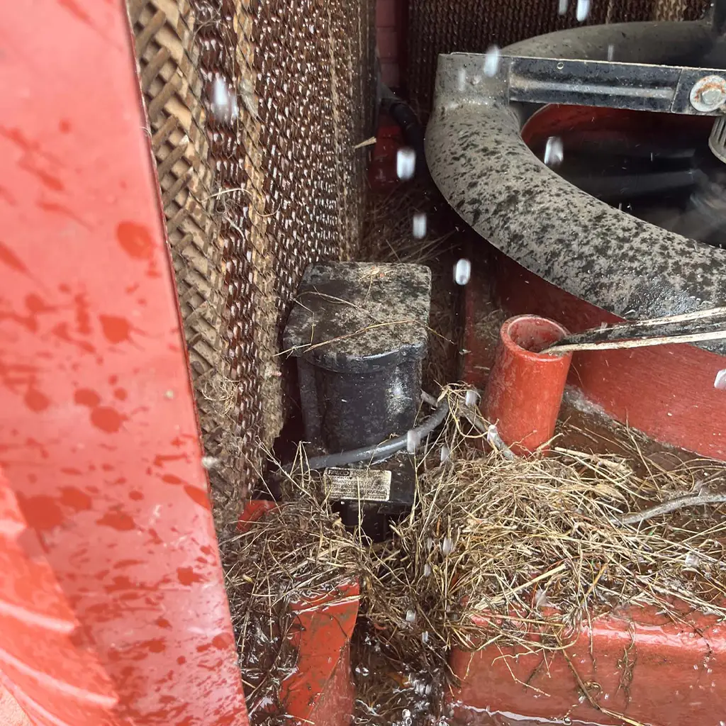 Bird's nest found in evaporative cooler